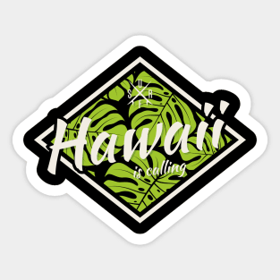 Hawaii surf design, print, typography Sticker